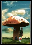 Mushroom Castle